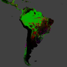 UMD/hansen/global_forest_change_2019_v1_7