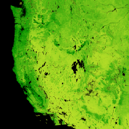 UMT/NTSG/v2/MODIS/NPP