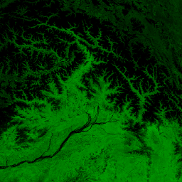 NOAA/VIIRS/001/VNP13A1