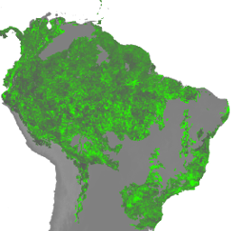 WRI/GFW/FORMA/vegetation_tstats